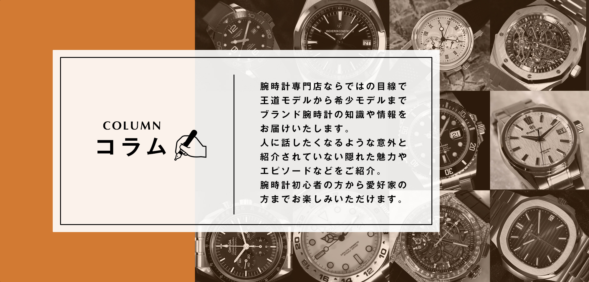 コラム